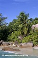 Loïc VAISSIERE paysages mers vegetation rochers granite roses ciels bleus palmiers sables plages rivages littoral littoraux oceans indien iles archipels seychelles afrique 